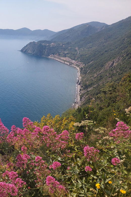 Cinque Terre Villages Walking Panoramic Tour
