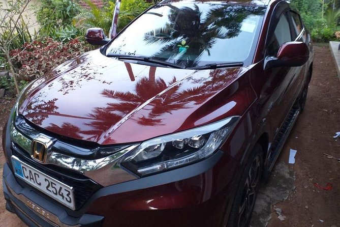 City Transfers From Kandy to Bentota or Beruwala - Good To Know