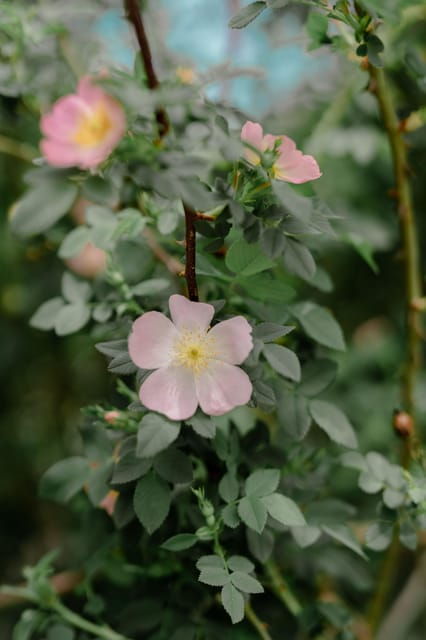 Crete: Uncover the Secrets of Spili Village - Tour Overview and Pricing