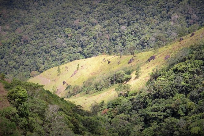 Cycling in Hantana Tea Plantation