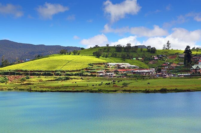 Cycling in Nuwara Eliya City - Good To Know