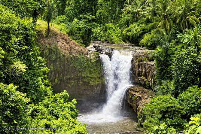 Cycling To The Rice Fields Of Ubud Village And Tegenungan - Tour Highlights