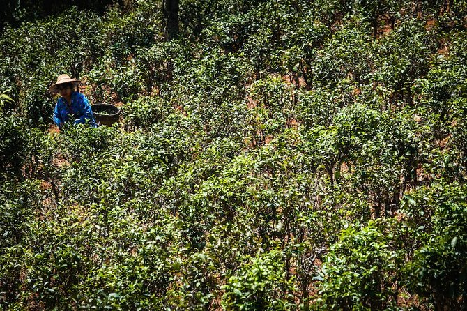 Danu Trails (2 Days, 1 Night) - Good To Know