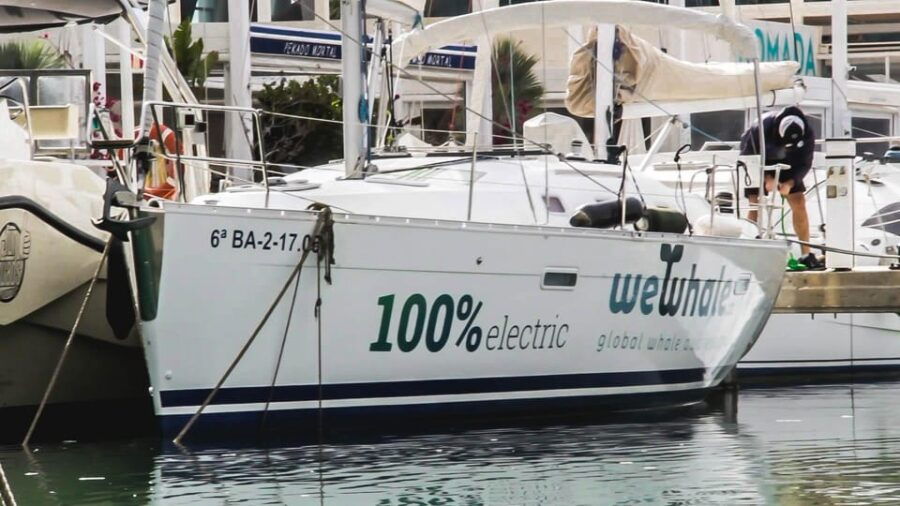 Denia: Sunset Electric Sailboat Cruise With Dolphin Spotting - Sunset Electric Sailboat Cruise