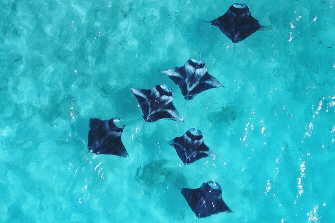 Discover Baa Atoll in 4 Nights and 5 Days - Good To Know