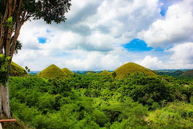 Discover Bohol Countryside Joiners Tour From Cebu City - Good To Know