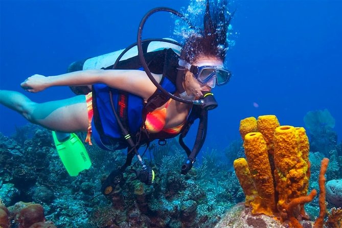 Diving From Mount Lavinia - Package Details for Diving Excursion