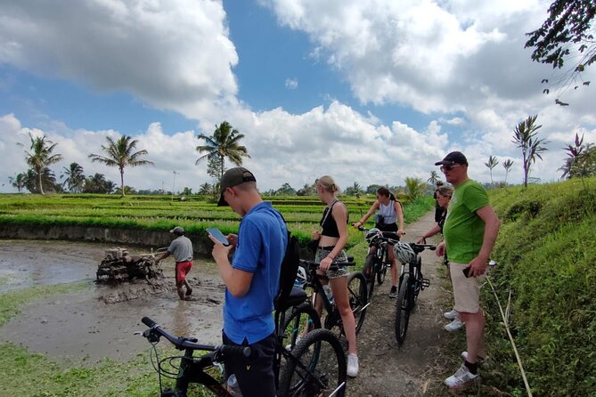 Down Hill Cycling in Bali Country Side With Local - Good To Know
