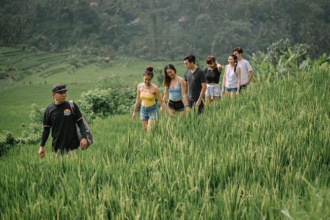 Dtukad Adventure Club: Bali Village and Rice Field Trekking Tour - Good To Know