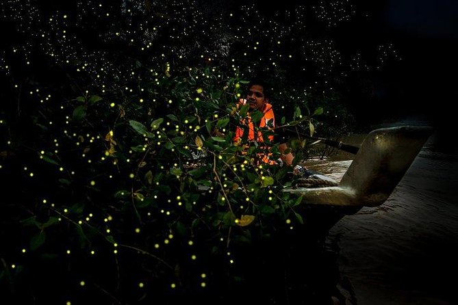 Escape to Kuala Selangor Firefly Park With Dinner - Good To Know