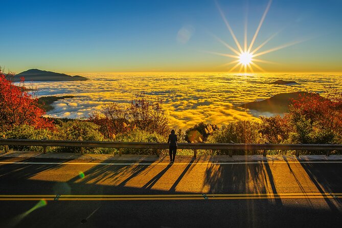Exclusive 3-Day Sun Moon Lake & Alishan Private Tour - Good To Know