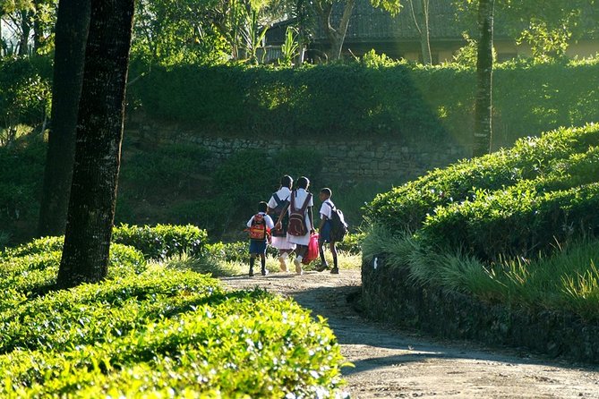 Explore Sri Lanka ( 14 N/ 15 D) - Tour Highlights and Activities