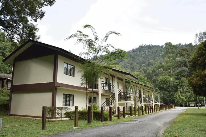 Forest Research Institute Malaysia (Frim) Nature Trekking From Kuala Lumpur - Good To Know