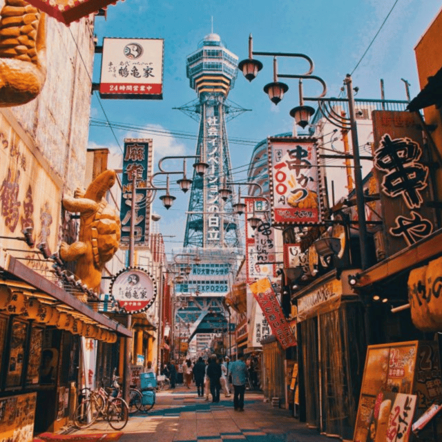 From Osaka: Private Customisable Osaka Full Day Tour By Car - Tour Overview and Pricing