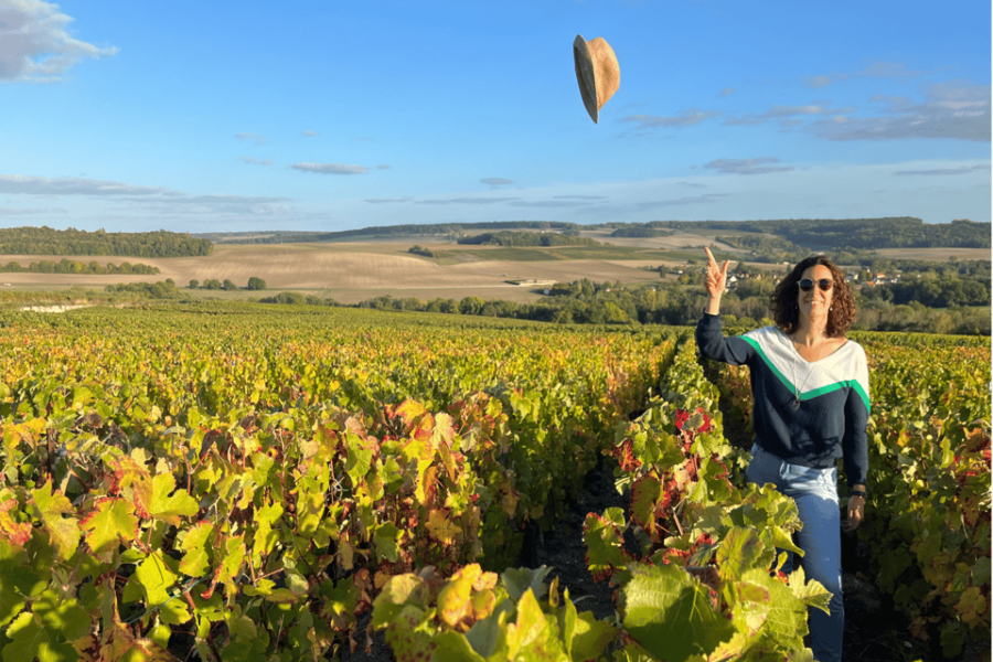 From Paris: Wine Day Trip to SANCERRE W 10 Tastings & Lunch - Overview of the Experience