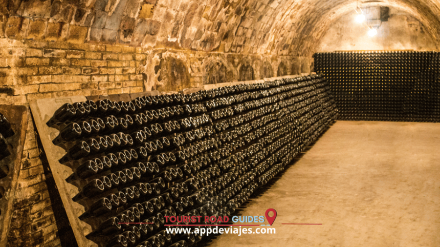 From Salou: Tour Private Cavas & Sitge Winery