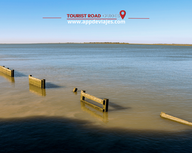From Seville: Private Tour Doñana & Christopher Columbus