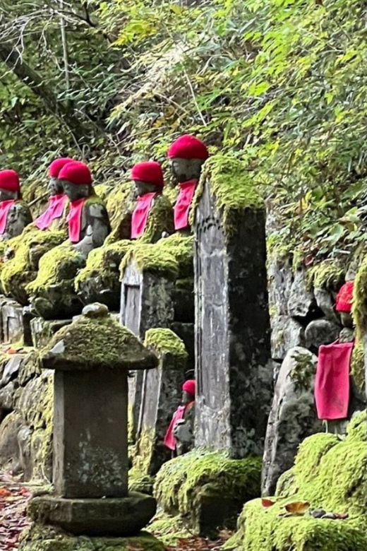 From Tokyo : Nikko Full Day Private Sightseeing Tour - Tour Overview