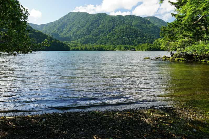 FROM TOKYO: NIKKO WORLD HERITAGE SIGHTS PRIVATE TOUR - Tour Overview and Pricing