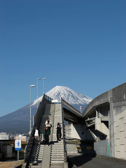 From Tokyo: Private Day Trip to Mount Fuji and Surroundings