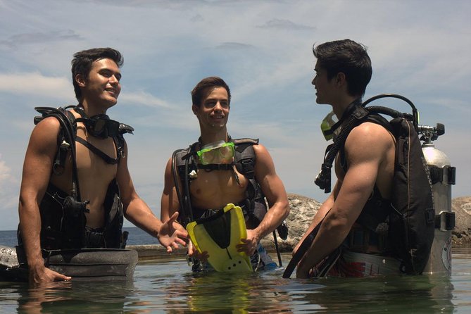 Full-Day Anilao Diving Package From Manila - Good To Know