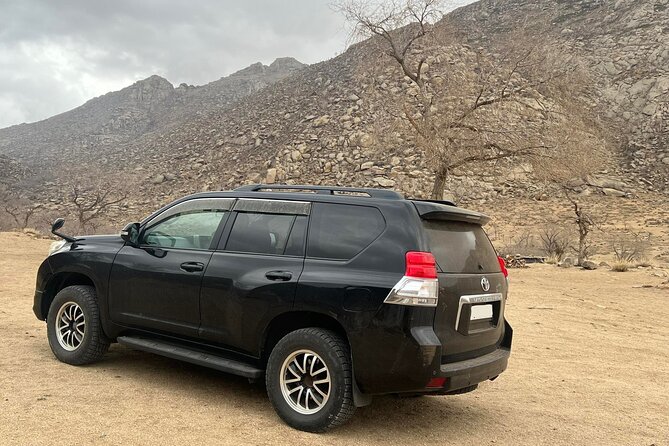 Full Day Private Jeep Tour to Elsen Tasarkhai, Semi-Gobi - Good To Know