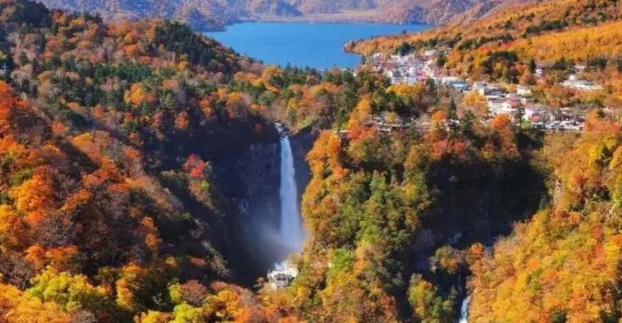 Full-Day Private Nikko Tour With English Speaking Driver - Tour Overview