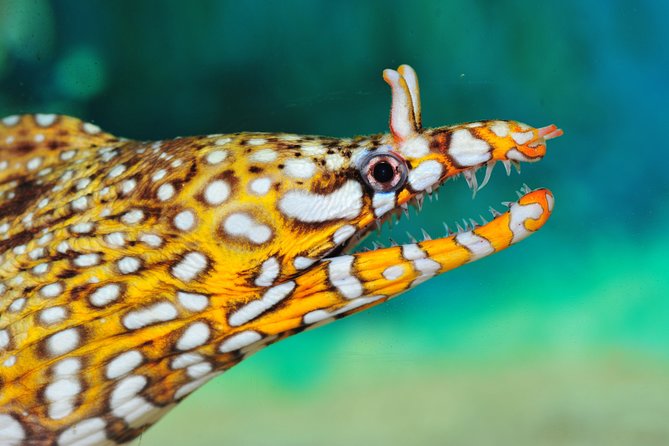 Full-Day Shanghai Aquarium Xintiandi and Jing'an Private Tour - Good To Know