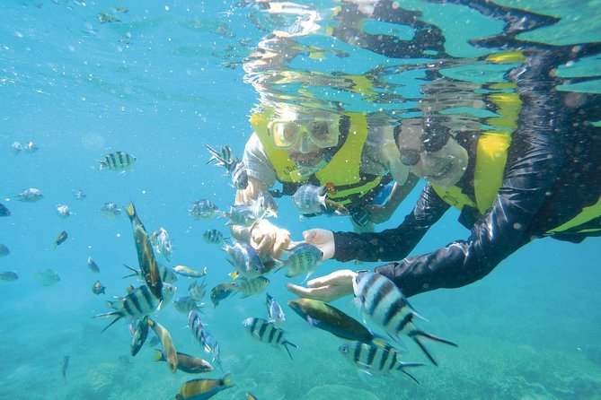 Full Day Snorkeling From Perhentian Island Terengganu - Good To Know