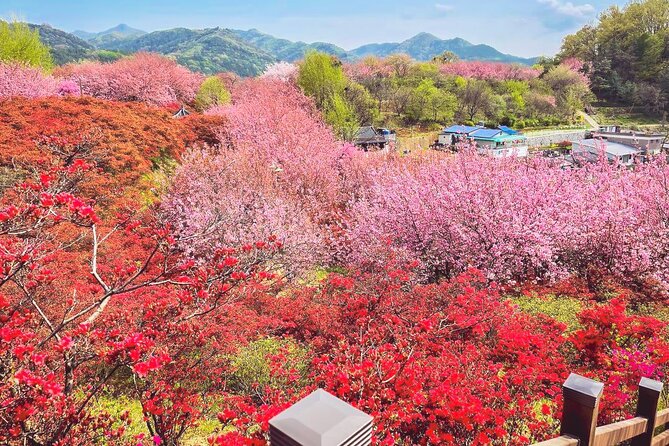 Full Day Tour Jeonju Hanok Village, Wansan Park and Gakwonsa - Good To Know