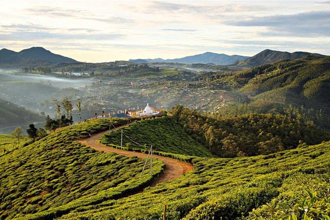Guided Hike to Single Tree Hills From Nuwara Eliya - Good To Know