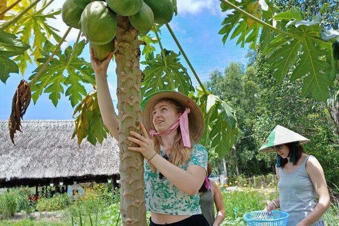 Half Day Exploring Farming Healthy Cooking Class - Activity Overview