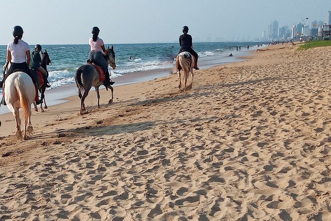 Half-Day Horse Riding in Kalpitiya - Good To Know