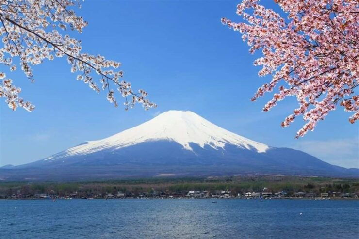 Haneda Airport（Hnd）To/From Fuji Area Private Transfer - Good To Know