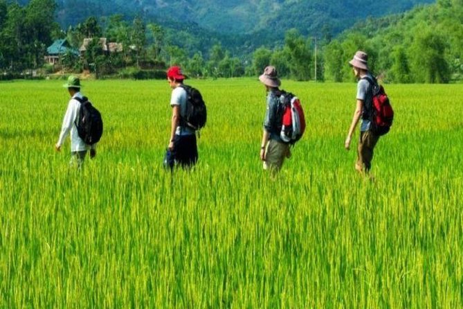 Hanoi : Fantastic Trip to Mai Chau - Overnight at Homestay - Good To Know