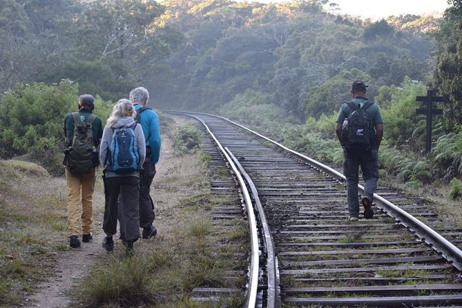 Hike to Horton Plains Border via Rail Tracks - Good To Know