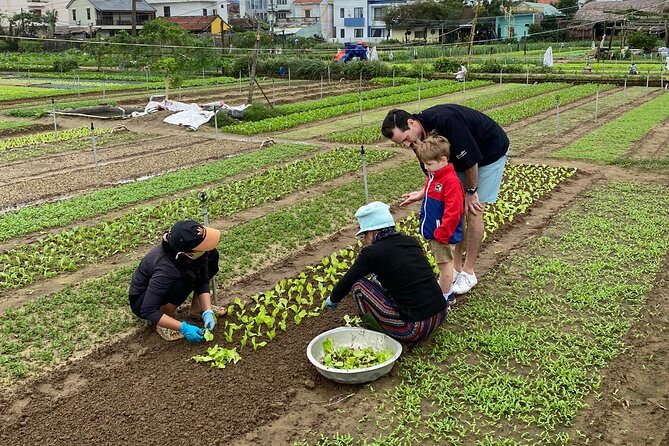 Hoi An Vegetable and Herb Village Private Tour - Good To Know