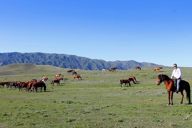 Horse Riding Adventure in Mountains! - Good To Know