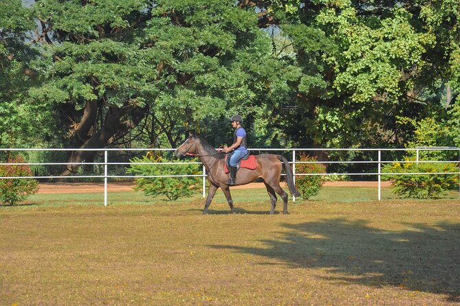 Horse Riding for Professionals From Habarana - Good To Know
