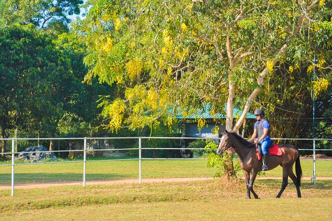 Horse Riding for Professionals in Dambulla - Good To Know