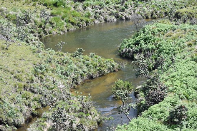 Horton Plains National Park Hike From Nuwara Eliya - Good To Know
