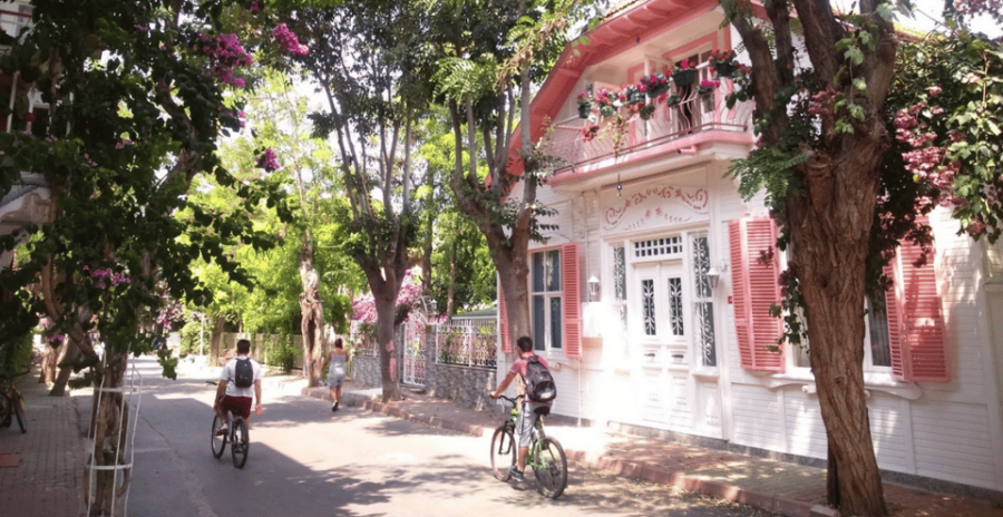 Istanbul: Princes Island Tour With Lunch and 2 Islands - Tour Overview and Pricing