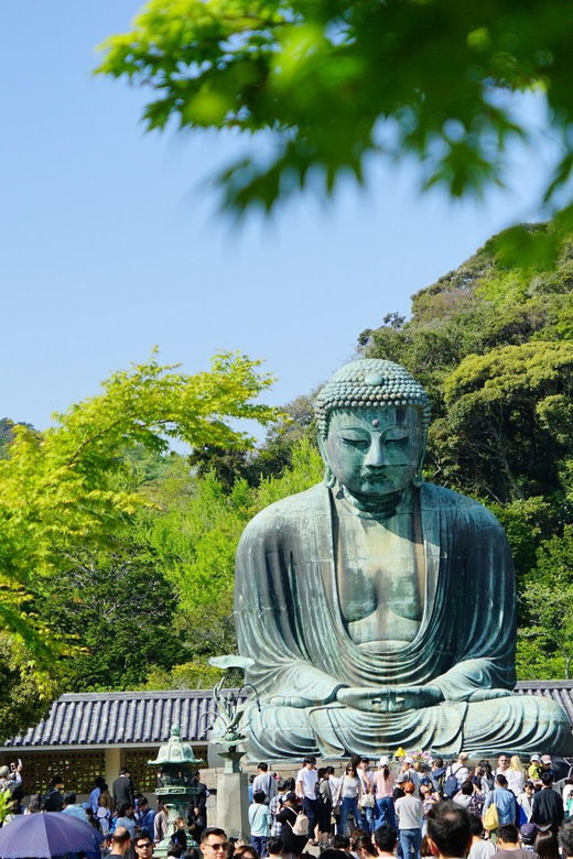 Kamakura Half Day Walking Tour With Local Experience - Good To Know