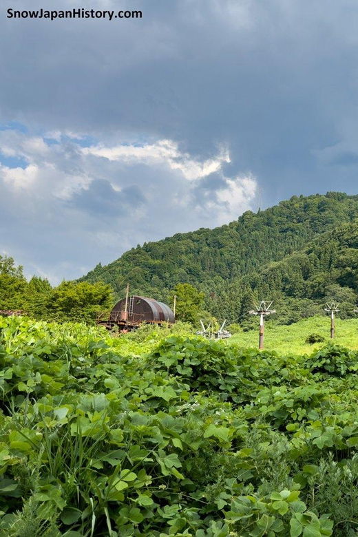 Kanazawa Full Day Walking Tour - Afternoon Itinerary Highlights