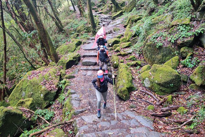 Kathmandu to Annapurna Base Camp Trek 7 Days Tour - Itinerary Overview