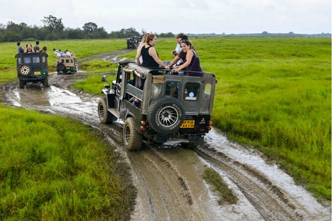 Kaudulla Jeep Safari & Dambulla Day Tour From Trincomalee - Good To Know