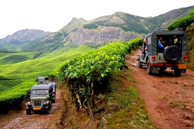 Kolukkumalai Jeep Safari -Tea Trail and Orthodox Tea Factory Visit -Private Tour - Good To Know