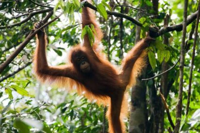 Kuching Kubah National Park - Good To Know