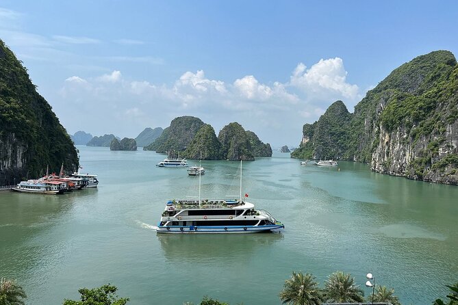 La Casta Cruise Halong Luxury Day Tour From Tuan Chau Harbor - Good To Know