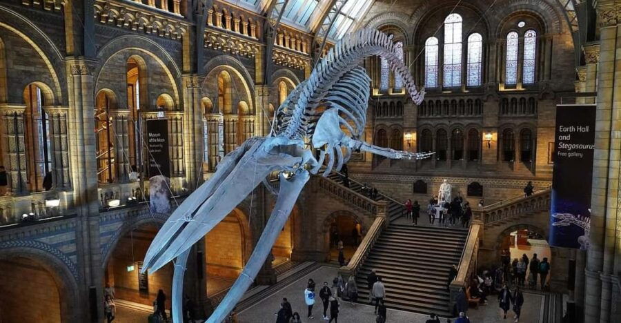 London: Luggage Storage Close to Natural History Museum - Service Overview